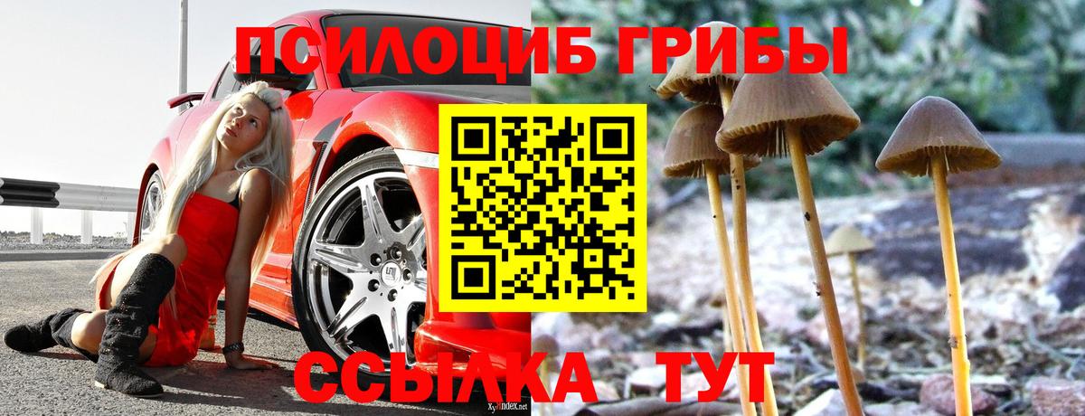 Псилоцибиновые грибы мухоморы  Галлюциногенные грибы прущие грибы  Волхов  Вход с VPN 