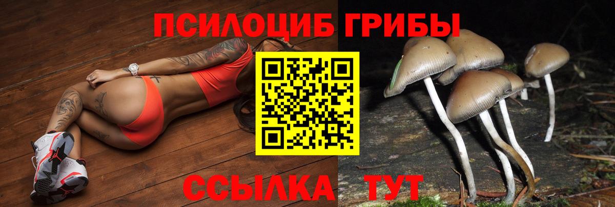 Галлюциногенные грибы мицелий Волхов